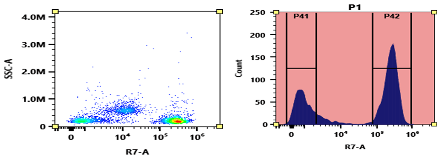 Flow cytometry analysis of PBMC stained with APC-Cy7 anti-human CD3 *UCHT1* conjugate. The fluorescence signal was monitored using an Aurora flow cytometer in the APC-Cy7 specific R7-A channel.
