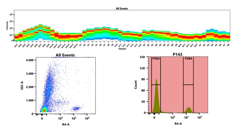 (Top) Spectral emission profiles generated using four spatially offset lasers (355 nm, 405 nm, 488 nm, and 640 nm). Each laser produced a distinct emission pattern, and their combination yielded the composite spectral signature. (Bottom) Flow cytometry analysis of whole blood stained with APC/iFluor® 700 Anti-human CD19 Antibody (SJ25C1). The fluorescence signal was monitored using an Cytek Aurora flow cytometer in the specific R4-A channel.