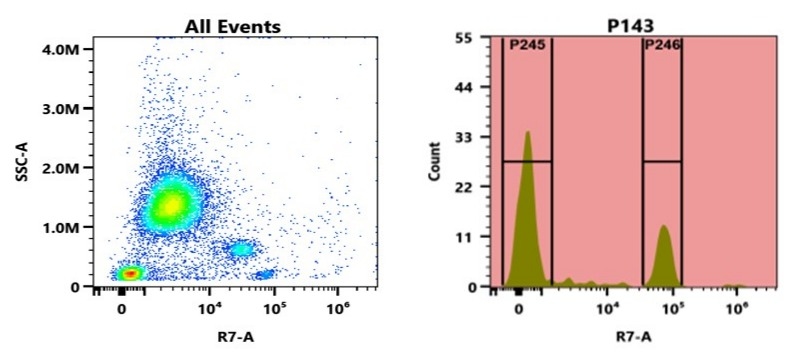 Flow cytometry analysis of whole blood stained with APC-iFluor® 740 anti-human CD4 *SK3* conjugate. The fluorescence signal was monitored using an Aurora spectral flow cytometer in the APC/iFluor® 740 specific R7-A channel.