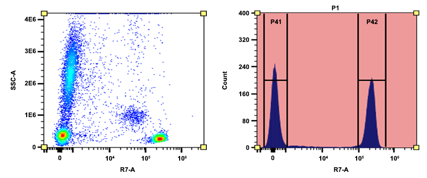 Flow cytometry analysis of whole blood cells stained with APC/iFluor® 750 anti-human CD4 antibody (Clone: SK3). The fluorescence signal was monitored using an Aurora spectral flow cytometer in the APC/iFluor® 750 specific R7-A channel.