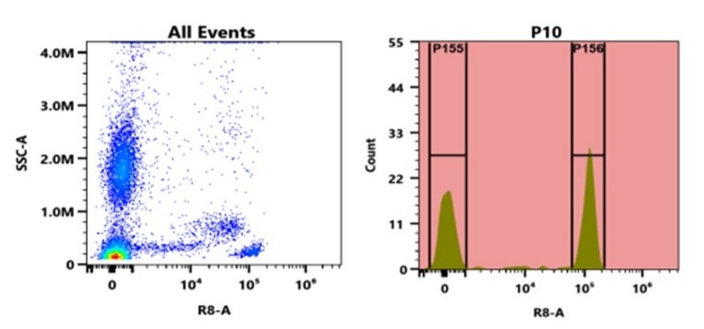 Flow cytometry analysis of whole blood stained with APC-iFluor® 770 anti-human CD4 *SK3* conjugate. The fluorescence signal was monitored using an Aurora spectral flow cytometer in the APC/iFluor® 770 specific R8-A channel.