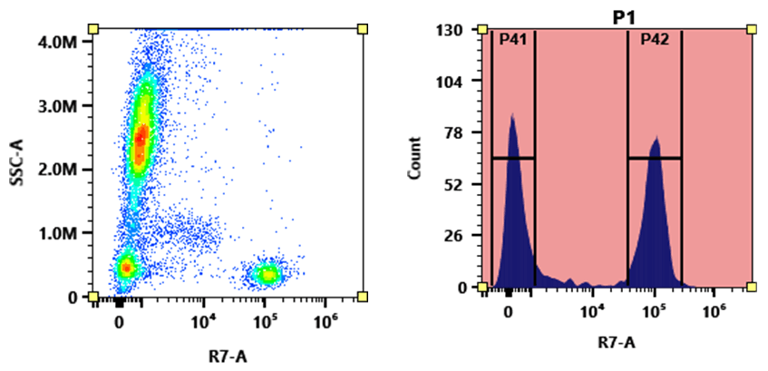 Flow cytometry analysis of whole blood stained with APC-iFluor® A7 anti-human CD3 *SK7* conjugate. The fluorescence signal was monitored using an Aurora spectral flow cytometer in the APC-iFluor® A7 specific R7-A channel.