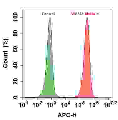 Flow cytometry analysis of HL-60 cells stained with (Red) or without (Green) 1ug/ml Anti-Human HLA-ABC-Biotin and then followed by APC-streptavidin conjugate (Cat#16902). The fluorescence signal was monitored using ACEA NovoCyte flow cytometer in the APC channel.