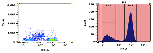 Flow cytometry analysis of PBMC stained with APC-XFD750 anti-human CD3 *SK7* conjugate. The fluorescence signal was monitored using an Aurora spectral flow cytometer in the APC-XFD750 specific R7-A channel. XFD750 is the same structure as Alexa Fluor® 750.