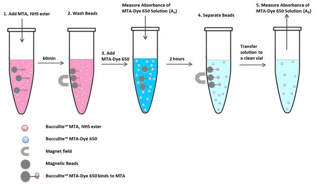Example of quantitation of surface amino groups on magnetic nanoparticle with Beadlite&trade; Rapid Colorimetric Amino Quantitation &nbsp;Kit (Cat# 5532).