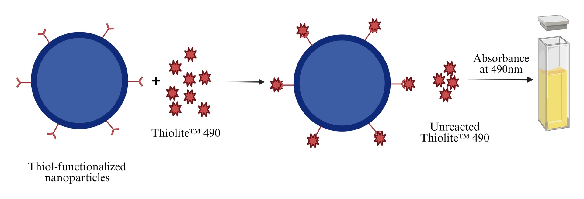 Working principle of Beadlite™ Rapid Colorimetric Thiol Quantitation Kit for Nanoparticles (#5535).