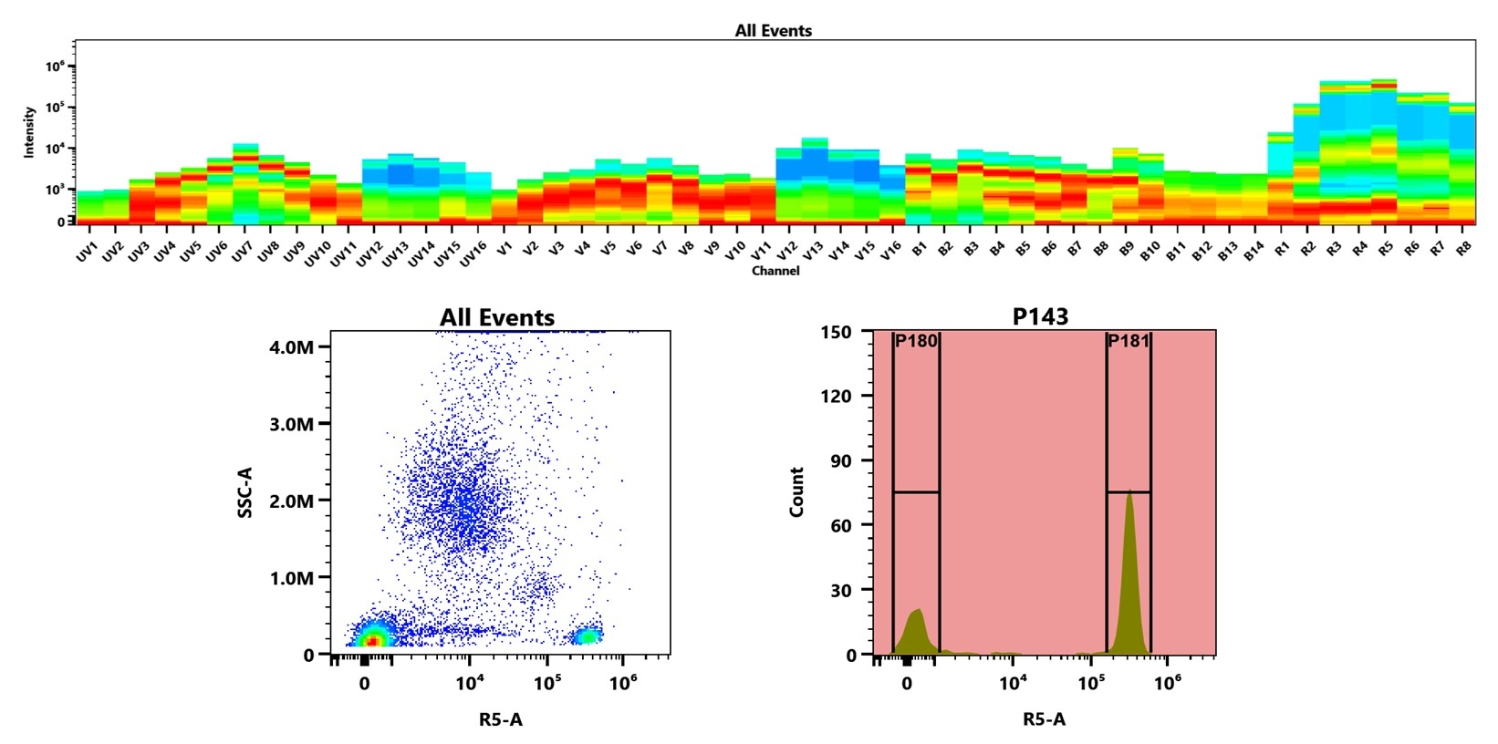 (Top) Spectral emission profiles generated using four spatially offset lasers (355 nm, 405 nm, 488 nm, and 640 nm). Each laser produced a distinct emission pattern, and their combination yielded the composite spectral signature. (Bottom) Flow cytometry analysis of human whole blood stained with Anti-human CD4 Antibody (SK3) labeled using Buccutite™ Rapid APC-Cy5.5 Tandem Antibody Labeling Kit (Cat. #1350). The fluorescence signal was monitored on a Cytek Aurora spectral flow cytometer in the R5-A channel, demonstrating clear detection of CD4⁺ cells.