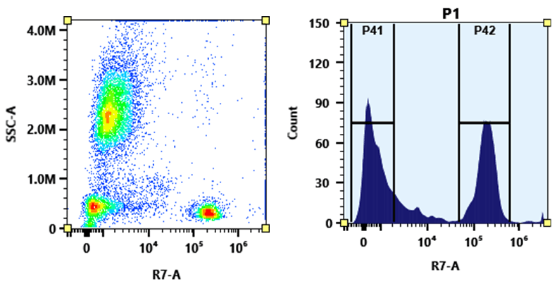Flow cytometry analysis of whole blood stained with APC-Cy7 anti-human CD4 *SK3* conjugate. The fluorescence signal was monitored using an Aurora spectral flow cytometer in the APC-Cy7 specific R7-A channel.