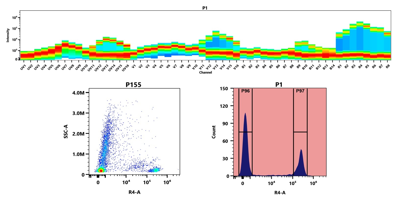 (Top) Spectral emission profiles generated using four spatially offset lasers (355 nm, 405 nm, 488 nm, and 640 nm). Each laser produced a distinct emission pattern, and their combination yielded the composite spectral signature. (Bottom) Flow cytometry analysis of human whole blood stained with Anti-human CD4 Antibody (SK3) labeled using Buccutite™ Rapid APC-iFluor® 700 Tandem Antibody Labeling Kit (Cat. #1347). The fluorescence signal was monitored on a Cytek Aurora spectral flow cytometer in the R4-A channel, demonstrating clear detection of CD4⁺ cells.