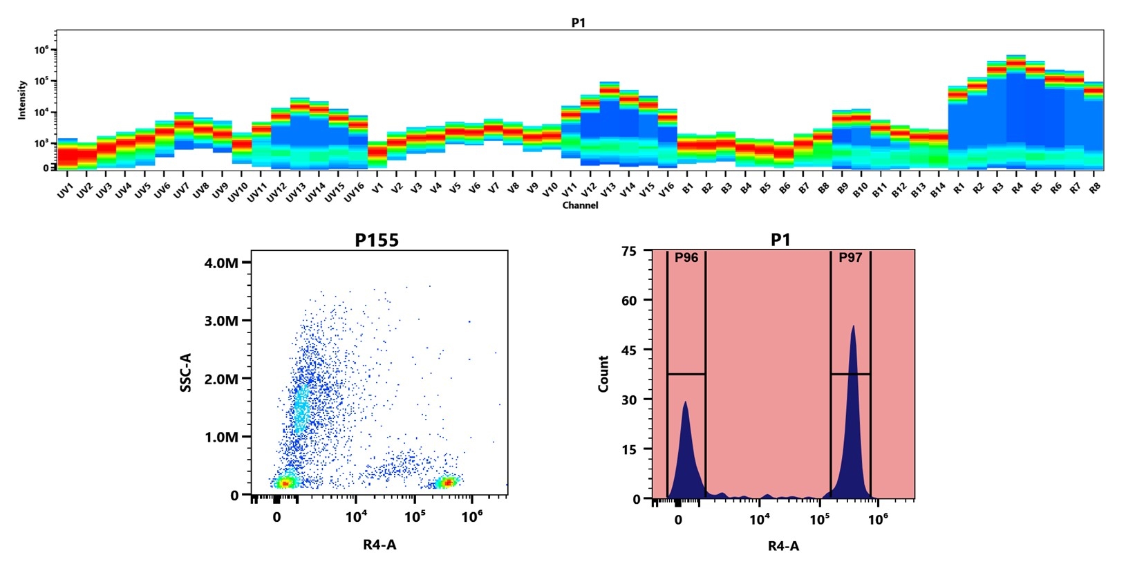 (Top) Spectral emission profiles generated using four spatially offset lasers (355 nm, 405 nm, 488 nm, and 640 nm). Each laser produced a distinct emission pattern, and their combination yielded the composite spectral signature. (Bottom) Flow cytometry analysis of human whole blood stained with Anti-human CD4 Antibody (SK3) labeled using Buccutite™ Rapid APC-iFluor® 700 Tandem Antibody Labeling Kit (Cat. #5413). The fluorescence signal was monitored on a Cytek Aurora spectral flow cytometer in the R4-A channel, demonstrating clear detection of CD4⁺ cells.