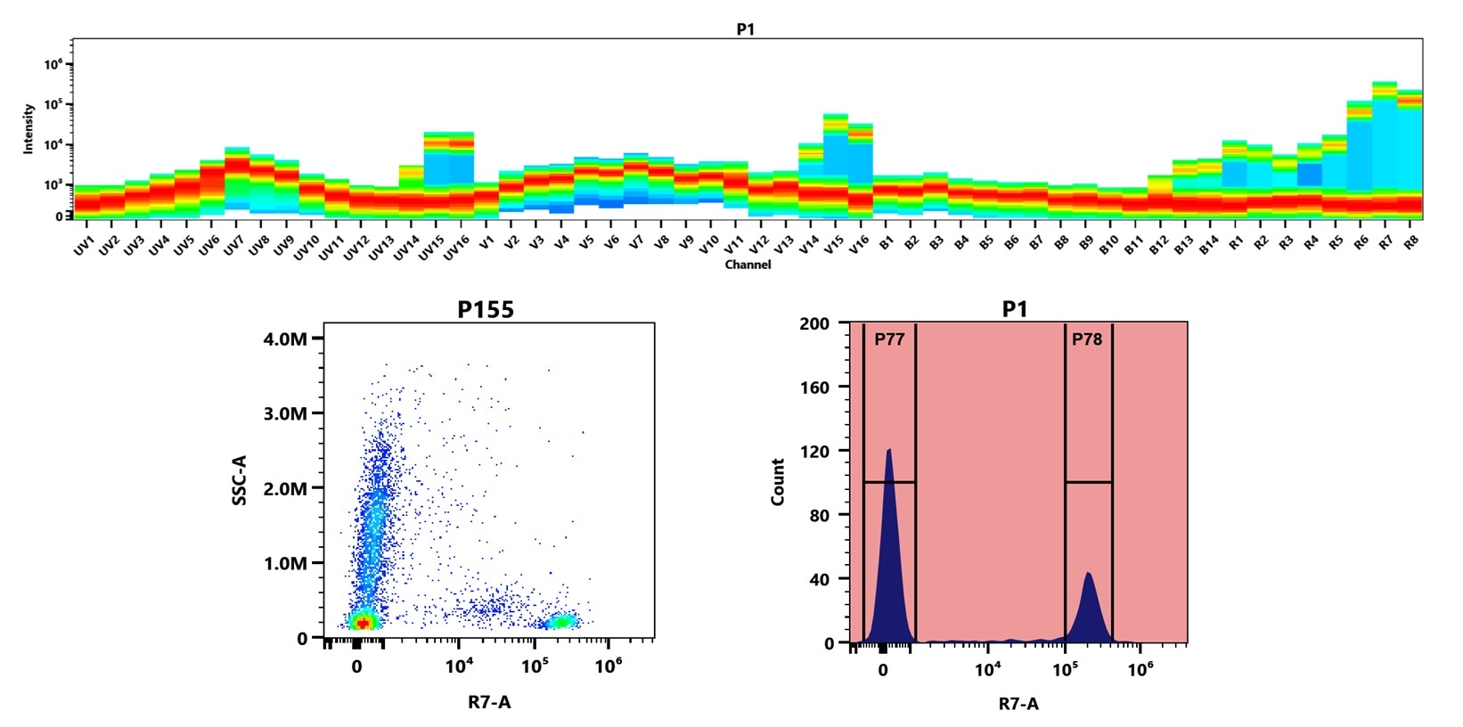 (Top) Spectral emission profiles generated using four spatially offset lasers (355 nm, 405 nm, 488 nm, and 640 nm). Each laser produced a distinct emission pattern, and their combination yielded the composite spectral signature. (Bottom) Flow cytometry analysis of human whole blood stained with Anti-human CD4 Antibody (SK3) labeled using Buccutite™ Rapid APC-iFluor® 750 Tandem Antibody Labeling Kit (Cat. #1348). The fluorescence signal was monitored on a Cytek Aurora spectral flow cytometer in the R7-A channel, demonstrating clear detection of CD4⁺ cells.