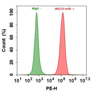 Flow cytometry analysis of HL-60 cells stained with 1ug/ml Mouse IgG control (Green) or with 1ug/ml mouse Anti-Human HLA-ABC (W6/32 mAb)  (Red) and then followed by Goat Anti-Mouse IgG-RPE conjugate prepared with Buccutite™ Rapid RPE Antibody Labeling Kit (Cat#1310). The fluorescence signal was monitored using ACEA NovoCyte flow cytometer in the RPE channel.