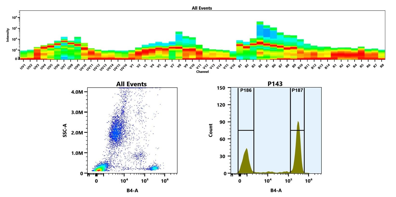 (Top) Spectral emission profiles generated using four spatially offset lasers (355 nm, 405 nm, 488 nm, and 640 nm). Each laser produced a distinct emission pattern, and their combination yielded the composite spectral signature. (Bottom) Flow cytometry analysis of human whole blood stained with Anti-human CD4 Antibody (SK3) labeled using Buccutite™ Rapid PE Antibody Labeling Kit (Cat. #1312). The fluorescence signal was monitored on a Cytek Aurora spectral flow cytometer in the B4-A channel, demonstrating clear detection of CD4⁺ cells.