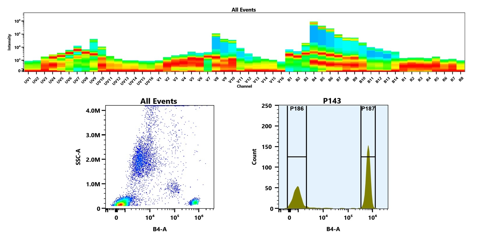 (Top) Spectral emission profiles generated using four spatially offset lasers (355 nm, 405 nm, 488 nm, and 640 nm). Each laser produced a distinct emission pattern, and their combination yielded the composite spectral signature. (Bottom) Flow cytometry analysis of human whole blood stained with Anti-human CD4 Antibody (SK3) labeled using Buccutite™ Rapid PE Antibody Labeling Kit (Cat. #5405). The fluorescence signal was monitored on a Cytek Aurora spectral flow cytometer in the B4-A channel, demonstrating clear detection of CD4⁺ cells.