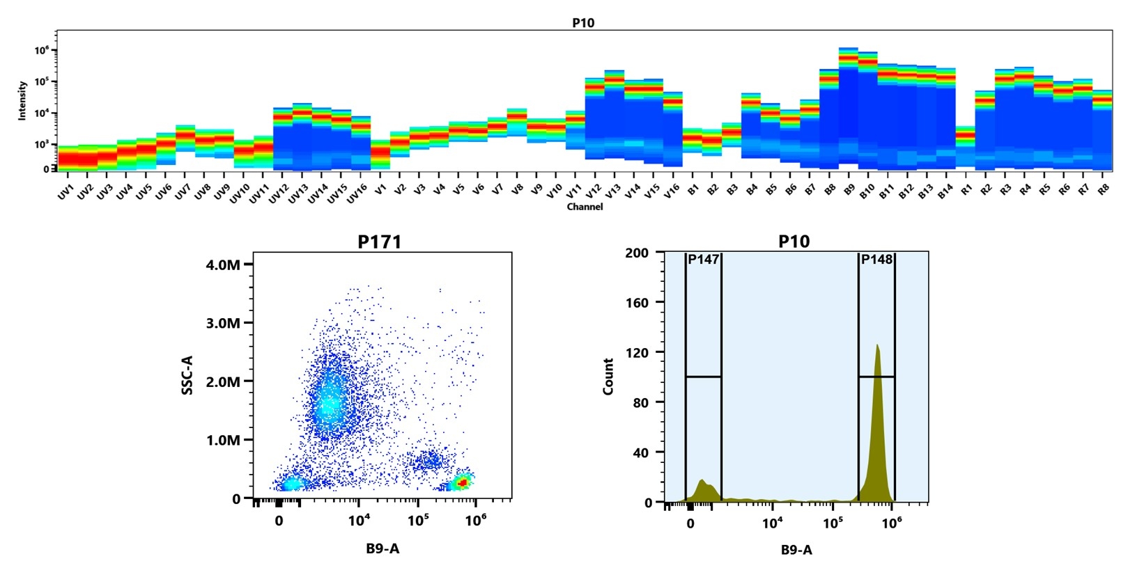 (Top) Spectral emission profiles generated using four spatially offset lasers (355 nm, 405 nm, 488 nm, and 640 nm). Each laser produced a distinct emission pattern, and their combination yielded the composite spectral signature. (Bottom) Flow cytometry analysis of human whole blood stained with Anti-human CD4 Antibody (SK3) labeled using Buccutite™ Rapid PE-Cy5.5 Tandem Antibody Labeling Kit (Cat. #1341). The fluorescence signal was monitored on a Cytek Aurora spectral flow cytometer in the B9-A channel, demonstrating clear detection of CD4⁺ cells.