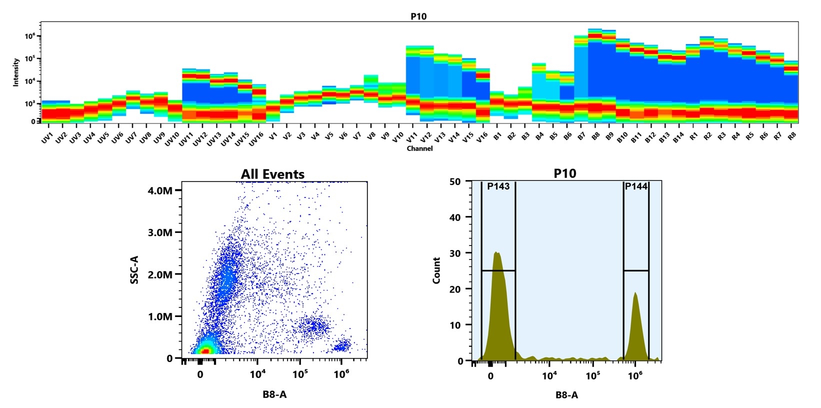(Top) Spectral emission profiles generated using four spatially offset lasers (355 nm, 405 nm, 488 nm, and 640 nm). Each laser produced a distinct emission pattern, and their combination yielded the composite spectral signature. (Bottom) Flow cytometry analysis of human whole blood stained with Anti-human CD4 Antibody (SK3) labeled using Buccutite™ Rapid PE-Cy5 Tandem Antibody Labeling Kit (Cat. #1322). The fluorescence signal was monitored on a Cytek Aurora spectral flow cytometer in the B8-A channel, demonstrating clear detection of CD4⁺ cells.