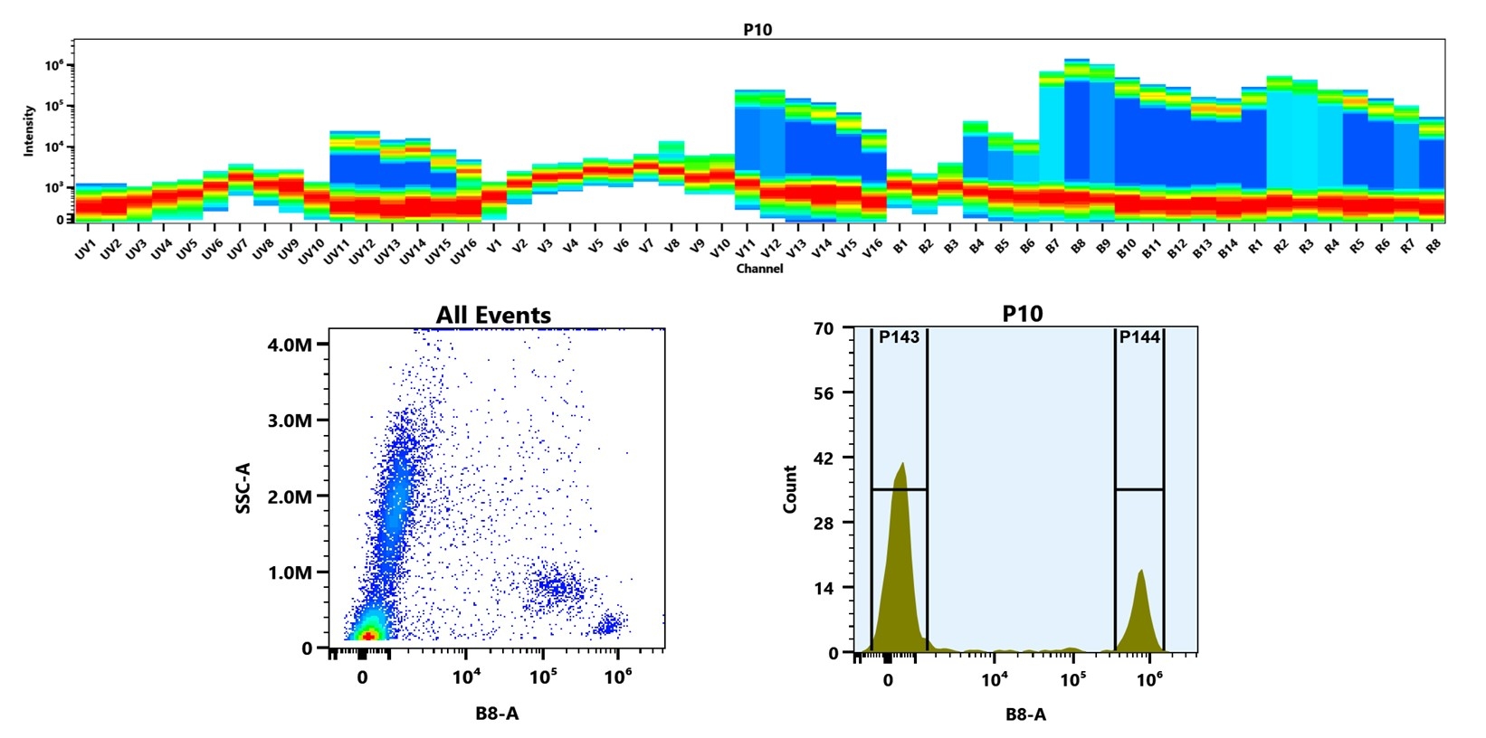 (Top) Spectral emission profiles generated using four spatially offset lasers (355 nm, 405 nm, 488 nm, and 640 nm). Each laser produced a distinct emission pattern, and their combination yielded the composite spectral signature. (Bottom) Flow cytometry analysis of human whole blood stained with Anti-human CD4 Antibody (SK3) labeled using Buccutite™ Rapid PE-Cy5 Tandem Antibody Labeling Kit (Cat. #1340). The fluorescence signal was monitored on a Cytek Aurora spectral flow cytometer in the B8-A channel, demonstrating clear detection of CD4⁺ cells.