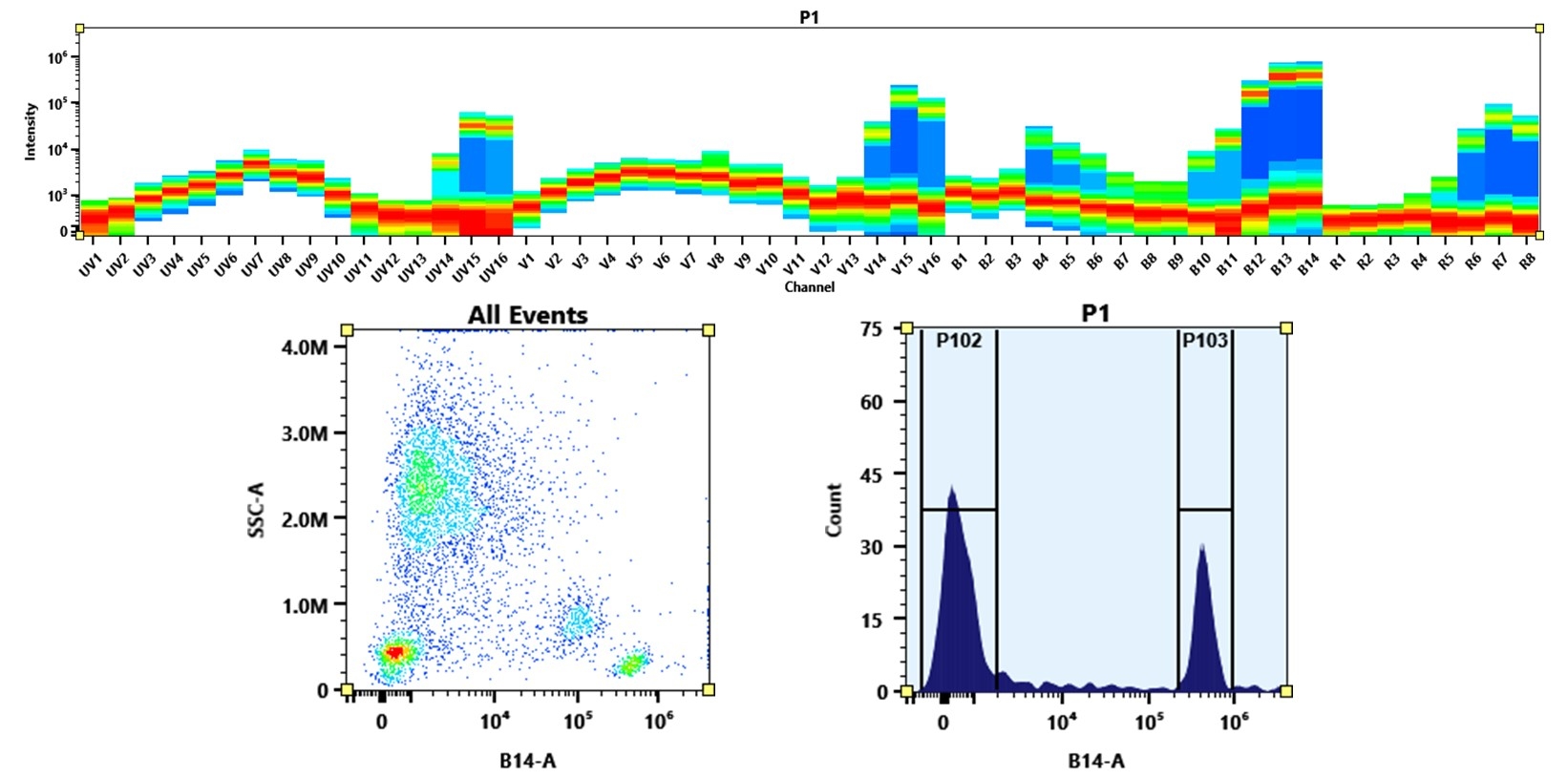 (Top) Spectral emission profiles generated using four spatially offset lasers (355 nm, 405 nm, 488 nm, and 640 nm). Each laser produced a distinct emission pattern, and their combination yielded the composite spectral signature. (Bottom) Flow cytometry analysis of human whole blood stained with Anti-human CD4 Antibody (SK3) labeled using Buccutite™ Rapid PE-Cy7 Tandem Antibody Labeling Kit (Cat. #1342). The fluorescence signal was monitored on a Cytek Aurora spectral flow cytometer in the B14-A channel, demonstrating clear detection of CD4⁺ cells.