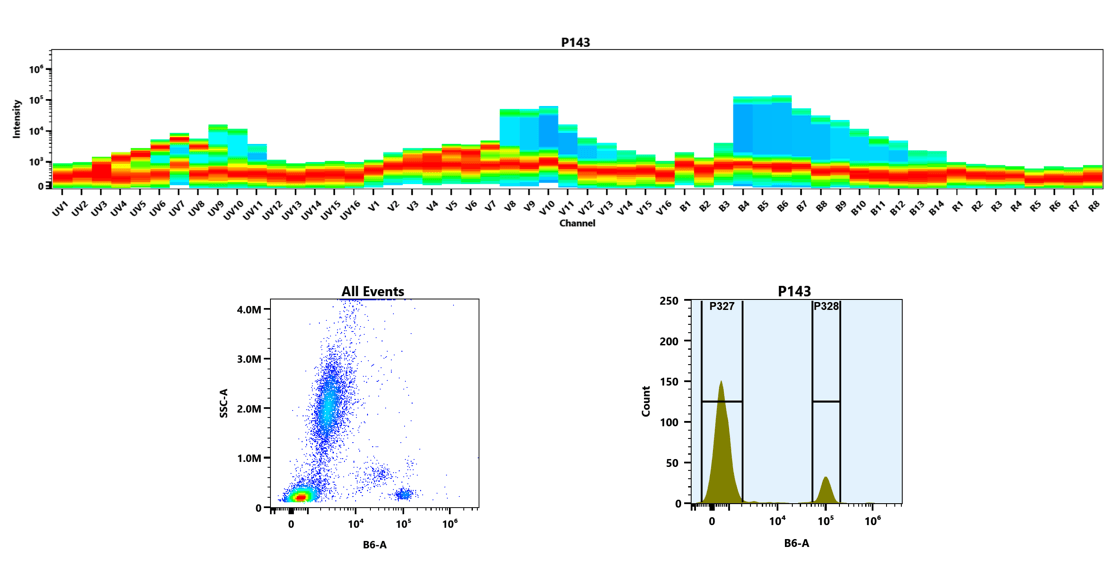 (Top) Spectral emission profiles generated using four spatially offset lasers (355 nm, 405 nm, 488 nm, and 640 nm). Each laser produced a distinct emission pattern, and their combination yielded the composite spectral signature of PE-iFluor® 594.
(Bottom) Flow cytometry analysis of whole blood stained with anti-human CD4 antibody (clone RPA-T4; Cat. #10041000) conjugated to PE-iFluor® 594 using the Buccutite™ Rapid PE-iFluor® 594 Tandem Antibody Labeling Kit (Cat. #1355). The resulting conjugate was used at 0.5 µg/test. Fluorescence was analyzed using a Cytek Aurora spectral flow cytometer in the B6-A channel.