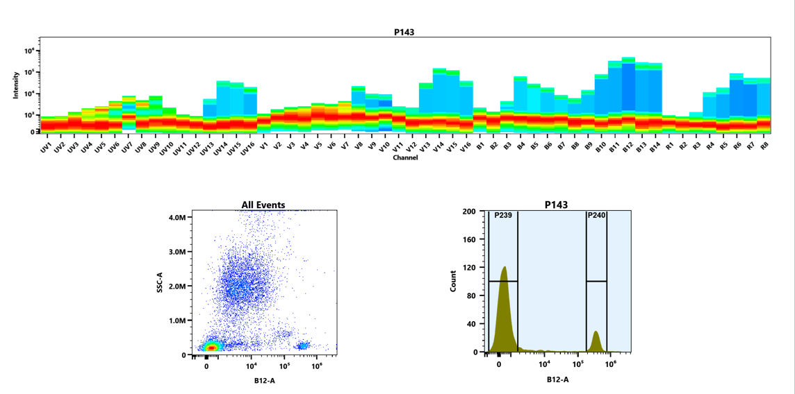 (Top) Spectral emission profiles generated using four spatially offset lasers (355 nm, 405 nm, 488 nm, and 640 nm). Each laser produced a distinct emission pattern, and their combination yielded the composite spectral signature of PE-iFluor® 710.
(Bottom) Flow cytometry analysis of whole blood stained with anti-human CD4 antibody (clone RPA-T4; Cat. #10041000) conjugated to PE-iFluor® 710 using the Buccutite™ Rapid PE-iFluor® 710 Tandem Antibody Labeling Kit (Cat. #1358). The resulting conjugate was used at 0.5 µg/test. Fluorescence was analyzed using a Cytek Aurora spectral flow cytometer in the B12-A channel.