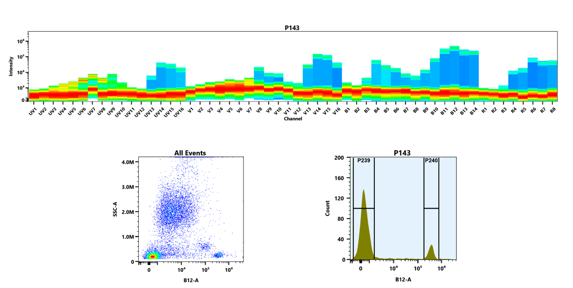(Top) Spectral emission profiles generated using four spatially offset lasers (355 nm, 405 nm, 488 nm, and 640 nm). Each laser produced a distinct emission pattern, and their combination yielded the composite spectral signature of PE-iFluor® 710.
(Bottom) Flow cytometry analysis of whole blood stained with anti-human CD4 antibody (clone RPA-T4; Cat. #10041000) conjugated to PE-iFluor® 710 using the Buccutite™ Rapid PE-iFluor® 710 Tandem Antibody Labeling Kit (Cat. #1357). The resulting conjugate was used at 0.5 µg/test. Fluorescence was analyzed using a Cytek Aurora spectral flow cytometer in the B12-A channel.