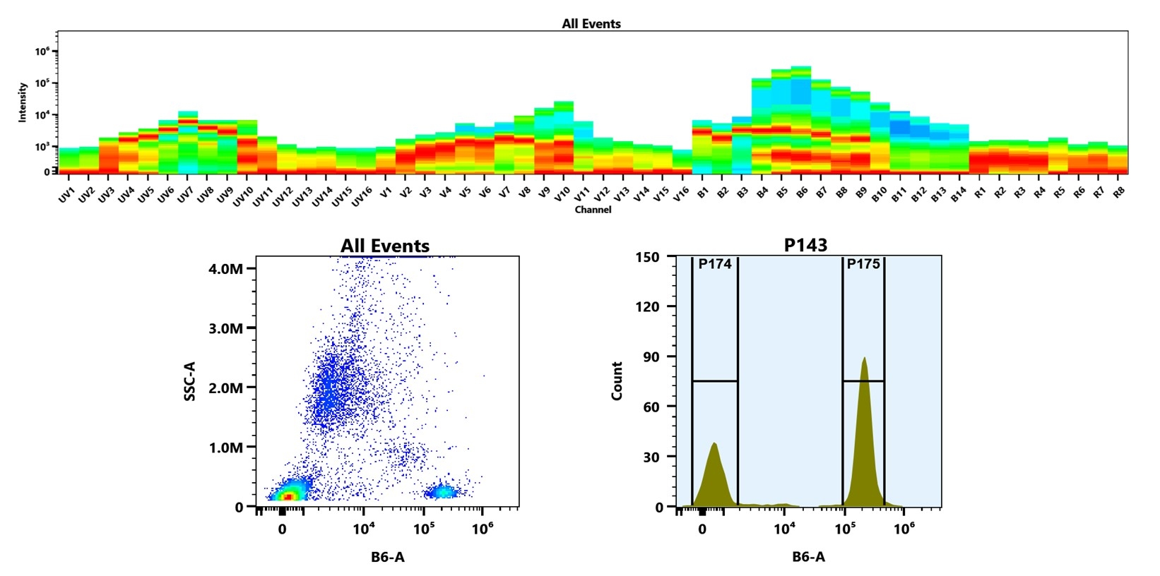 (Top) Spectral emission profiles generated using four spatially offset lasers (355 nm, 405 nm, 488 nm, and 640 nm). Each laser produced a distinct emission pattern, and their combination yielded the composite spectral signature. (Bottom) Flow cytometry analysis of human whole blood stained with Anti-human CD4 Antibody (SK3) labeled using Buccutite™ Rapid PE-Texas Red Tandem Antibody Labeling Kit (Cat. #1318). The fluorescence signal was monitored on a Cytek Aurora spectral flow cytometer in the B6-A channel, demonstrating clear detection of CD4⁺ cells.