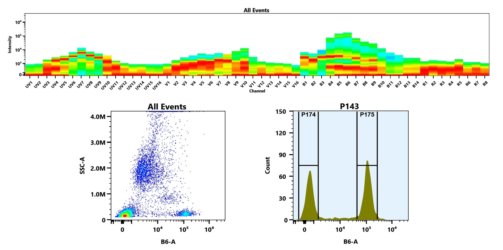 (Top) Spectral emission profiles generated using four spatially offset lasers (355 nm, 405 nm, 488 nm, and 640 nm). Each laser produced a distinct emission pattern, and their combination yielded the composite spectral signature. (Bottom) Flow cytometry analysis of human whole blood stained with Anti-human CD4 Antibody (SK3) labeled using Buccutite™ Rapid PE-Texas Red Tandem Antibody Labeling Kit (Cat. #1343). The fluorescence signal was monitored on a Cytek Aurora spectral flow cytometer in the B6-A channel, demonstrating clear detection of CD4⁺ cells.