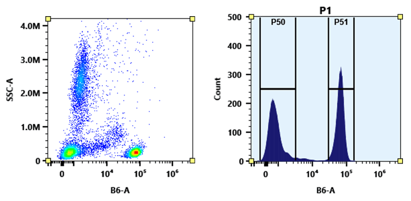 Flow cytometry analysis of whole blood stained with PE-Texas Red anti-human CD4 *SK3* conjugate. The fluorescence signal was monitored using an Aurora spectral flow cytometer in the PE-Texas Red specific B6-A channel. PE-Texas Red anti-human CD4 *SK3* conjugates were prepared using the Buccutite™ Rapid PE-Texas Red Tandem Antibody Labeling Kit *Production Scale* (Cat# 5412).