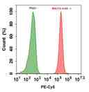Flow cytometry analysis of HL-60 cells stained with 1ug/ml Mouse IgG control (Green) or with 1ug/ml mouse Anti-Human HLA-ABC (W6/32 mAb)&nbsp; (Red) and then followed by Goat Anti-Mouse IgG-PE-Cy5 conjugate prepared with Buccutite&trade; Rapid PE-Cy5 Tandem Antibody Labeling Kit (Cat#1315).