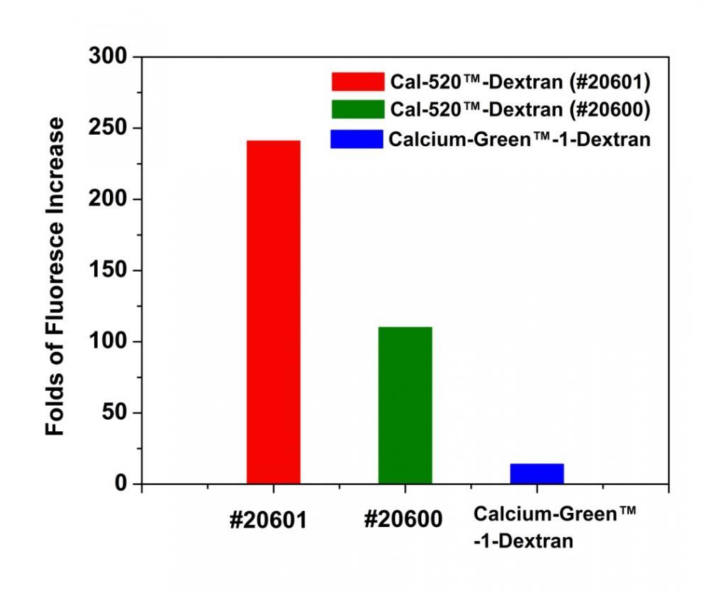 Fluorescence intensity increase of Cal-520&reg;-Dextran (Cat# 20600), Cal-520&reg;-Dextran (Cat# 20601) and Calcium-Green&trade;-1-Dextran upon binding saturated amount of calcium.