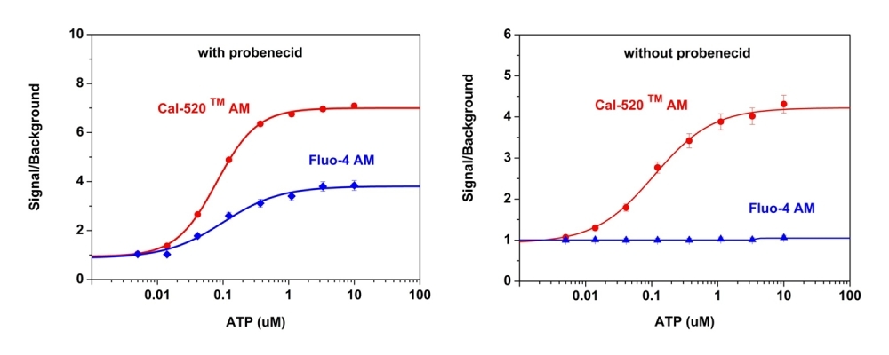 ATP-stimulated calcium responses of endogenous P2Y receptor in CHO-K1 cells incubated with Cal-520™ AM (red curve), or Fluo-4 AM (blue curve) respectively with (left) or without probenecid (right) under the same conditions. CHO-K1 cells were seeded overnight at 50,000 cells per 100 µL per well in a Costar black wall/clear bottom 96-well plate. 100 µL of 5 µM Fluo-4 AM or Cal 520™ AM in HHBS (with or without probenecid) was added into the cells, and the cells were incubated at 37 °C for 1 hour. ATP (50 μL/well) was added using FlexSation to achieve the final indicated concentrations.