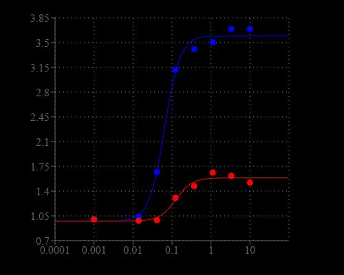 ATP-stimulated calcium response of endogenous P2Y receptor in CHO-K1 cells incubated with Cal-590&reg; AM  or Rhod-2 AM under the same conditions. CHO-K1 cells were seeded overnight at 50,000 cells per 100 &micro;L per well in a 96-well black wall/clear bottom Costar plate. 100 &micro;L of 5 &micro;g/mL Cal-590&reg; AM or Rhod-2 AM with 2.5 mM probenecid was added into the cells, and the cells were incubated at 37 &deg;C for 1 hour. ATP (50 &micro;L/well) was added by FlexStation (Molecular Devices) to achieve the final indicated concentrations.