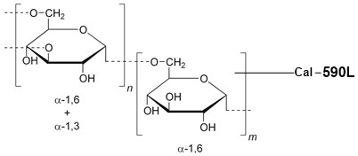 Among the fluorescent calcium indicator dextran conjugates, Cal-590L dextran conjugates might be a better choice than other red fluorescent dextran conjugates due to its higher fluorescence quantum yield and larger fluorescence enhancement by calcium. Cal-590L dextran has Kd ~230 uM.