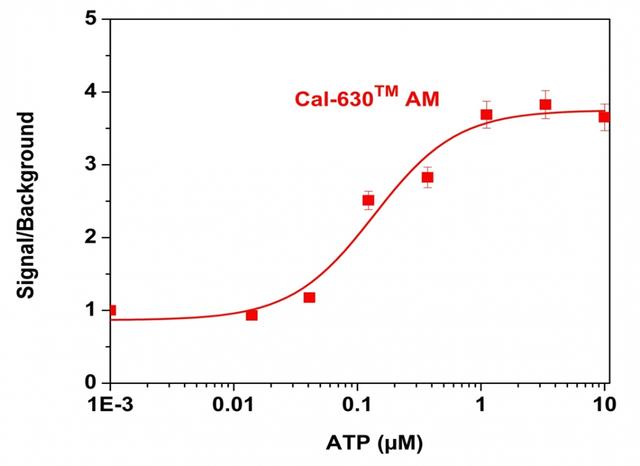 ATP-stimulated calcium responses of endogenous P2Y receptor in CHO-K1 cells incubated with Cal-630&trade; AM (red curve). CHO-K1 cells were seeded overnight at 50,000 cells per 100 uL per well in a Costar black wall/clear bottom 96-well plate. 100 uL of 5 &micro;M Cal-630 &trade; AM in HHBS (with 1.0 mM probenecid) was added into the cells and incubated at 37 &deg;C for 1 hour. ATP (50 uL/well) was added using FlexSation to achieve the final indicated concentrations.
