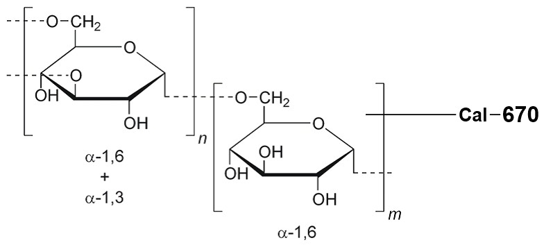 <p>Among the fluorescent red calcium indicator dextran conjugates, Cal-670 dextran conjugates might be a better choice than other red fluorescent dextrtan conjugates due to its longer fluorescence wavelength optimized for in vivo imaging. Cal-670™ is a near infrared (NIR) calcium indicator with maximum emission at ~675 nm. It can be well excited with the red lasers at 633 nm or 647 nm. Cal-670™ is one of the very few calcium indicators that can be potentially used for in vivo imaging since it has a NIR fluorescence.</p>