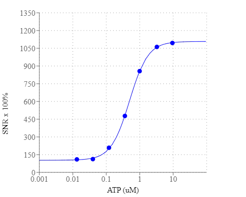 Graph illustrates signal-to-noise ration (SNR) x 100%. ATP-stimulated calcium response of endogenous P2Y receptor in CHO-K1 cells incubated with Cal Red R525/650. ATP (50 uL/well) was added by FlexStation3 (Molecular Devices) to achieve the final indicated concentrations.
