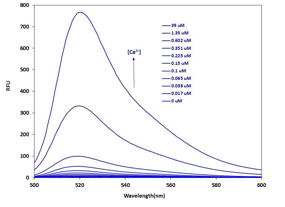 Fluorescence emission spectra of Calbryte™ 520 in solution containing 0 to 39 µM free Ca<sup>2+</sup>.