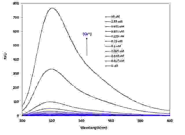 Fluorescence emission spectra of Calbryte™ 520 in solution containing 0 to 39 µM free Ca<sup>2+</sup>.