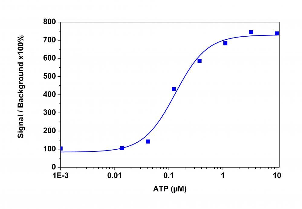 An ATP dose-response was measured in CHO-K1 cells with Calbryte™ 590 AM. CHO-K1 cells were seeded overnight at 50,000 cells/100 µL/well in a 96-well black wall/clear bottom costar plate. 100 µL of 10 µg/ml Calbryte™ 590 AM in HH Buffer with probenecid was added and incubated for 60 min at 37°C. Dye loading solution was then removed and replaced with 200 µL HH Buffer/well. ATP (50 µL/well) was added by FlexStation 3 to achieve the final indicated concentrations.