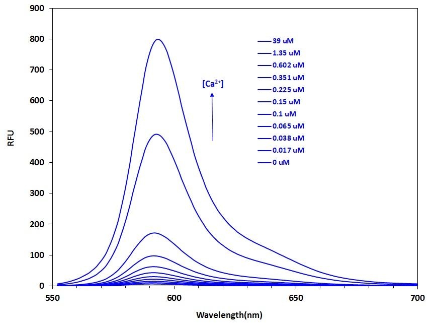 <p>Fluorescence emission spectra of Calbryte™ 590 in solution containing 0 to 39 µM free Ca<sup>2+</sup>.</p>