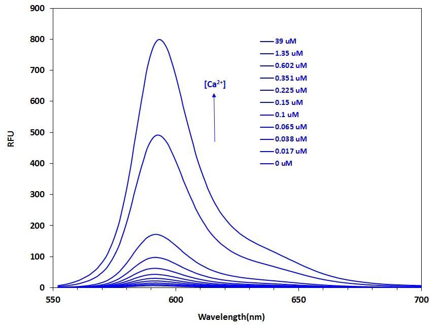 Fluorescence emission spectra of Calbryte&trade; 590 in solution containing 0 to 39 &micro;M free Ca<sup>2+</sup>.