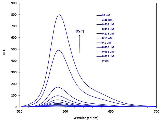 Fluorescence emission spectra of Calbryte™ 590 in solution containing 0 to 39 µM free Ca<sup>2+</sup>.