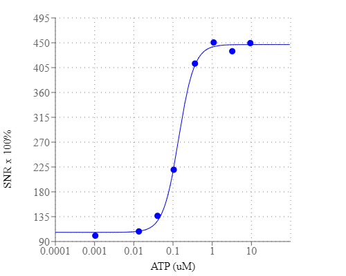 Graph illustrates signal-to-noise (SNR) x 100%. ATP dose response was measured in CHO-K1 cells with Calbryte™ 630 AM. CHO-K1 cells were seeded overnight at 50,000 cells/100 µL/well in a 96-well black wall/clear bottom costar plate. 100 µL of 10 µg/ml Calbryte™ 630 AM in HH Buffer with probenecid was added and incubated for 60 min at 37°C. Dye loading solution was then removed and replaced with 200 µL HH Buffer/well. ATP (50 µL/well) was added by FlexStation 3 to achieve the final indicated concentrations.