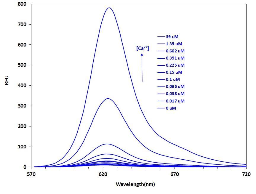 Fluorescence emission spectra of Calbryte&trade; 630 in solution containing 0 to 39 &micro;M free Ca<sup>2+</sup>.
