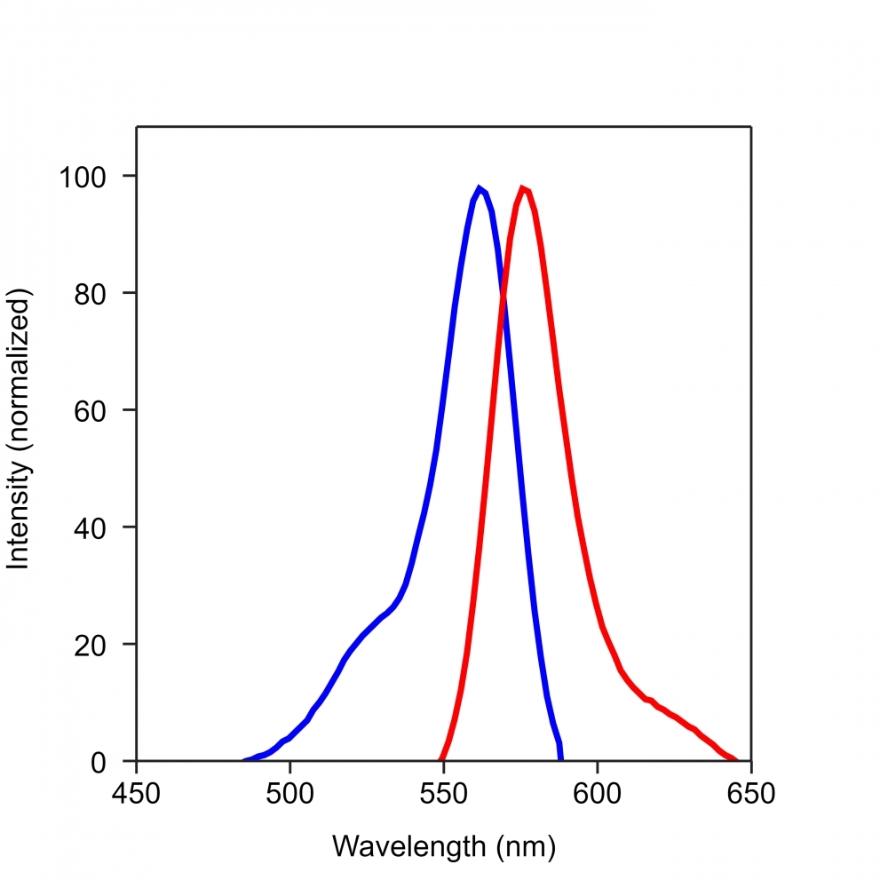 <p>Spectrum for Calcein Red</p>
