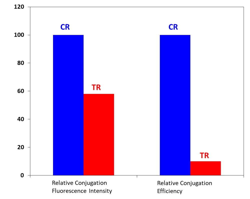Conjugation and spectral comparison of California Red<strong>™</strong> and Texas Red  under the same conditions.