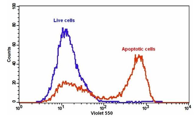 The detection of binding activity of Annexin V-mFluor&trade; Violet 550 and phosphatidylserine in Jurkat cells. Jurkat cells were treated without (Blue) or with 1 &micro;M staurosporine (Red) in a 37 &deg;C, 5% CO2 incubator for 5 hours, and then dye loaded with Annexin V-mFluor&trade; Violet 550 for 30 minutes. The fluorescence intensity of Annexin V-mFluor&trade; Violet 550 was measured with a FACSCalibur (Becton Dickinson) flow cytometer using&nbsp;405 nm laser at Ex/Em = 405/550 nm.