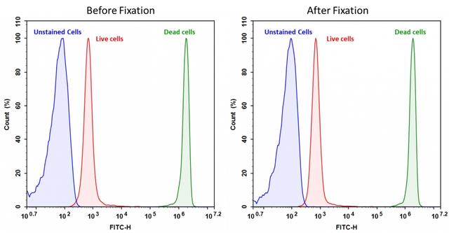 Detection of Jurkat cell viability by Cell Meter™ fixable viability dye. Jurkat cells were treated and stained with Cell Meter™ BX520 (Cat#22510), and then fixed in 3.7% formaldehyde and analyzed by flow cytometry.  The dead cell population (Green peak)  is easily distinguished from the live cell population (Red peak)  with FITC channel, and nearly identical results were obtained before and after fixation.