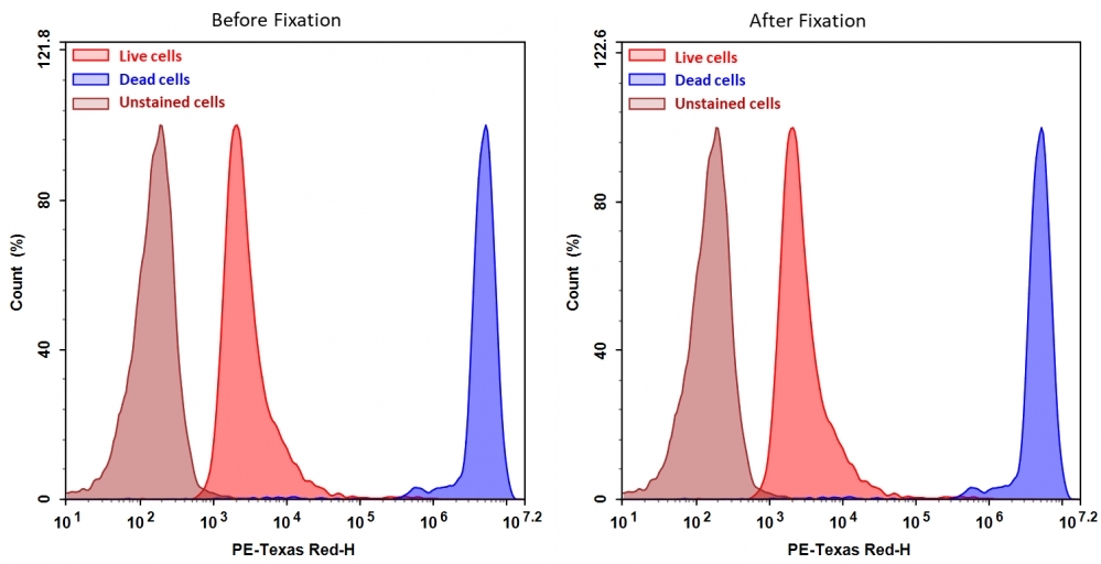 Detection of Jurkat cell viability by Cell Meter™ fixable viability dye. Jurkat cells were treated and stained with Cell Meter™ BX590 (Cat#22514), and then fixed in 3.7% formaldehyde and analyzed by flow cytometry.  The dead cell population (Blue peak)  is easily distinguished from the live cell population (Red peak)  with PE-TexasRed channel, and nearly identical results were obtained before and after fixation.