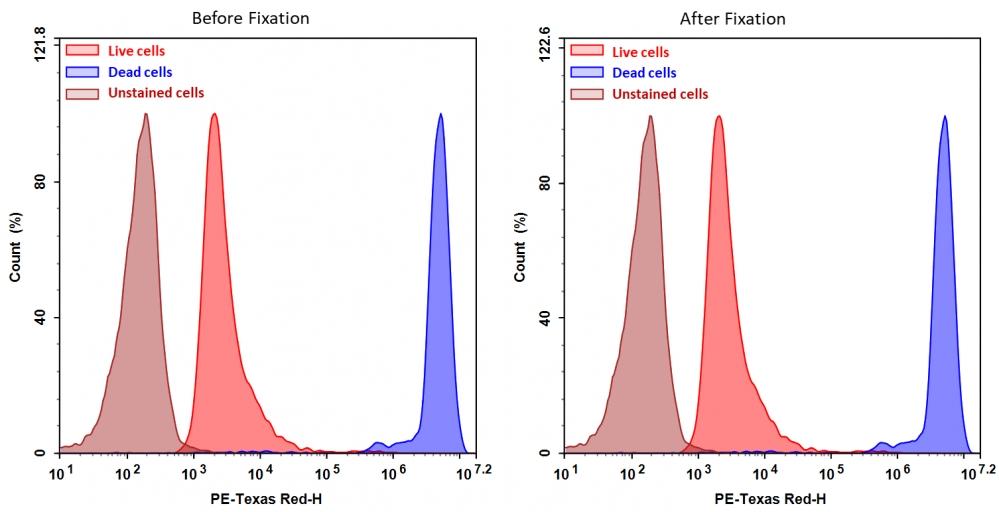 Detection of Jurkat cell viability by Cell Meter&trade; fixable viability dye. Jurkat cells were treated and stained with&nbsp;Cell Meter&trade; BX590 (Cat#22514), and then fixed in 3.7% formaldehyde and analyzed by flow cytometry. &nbsp;The dead cell population (Blue peak)&nbsp; is easily distinguished from the live cell population (Red peak)&nbsp; with PE-TexasRed channel, and nearly identical results were obtained before and after fixation.